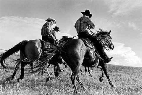 Cowboys galloping across open ground at a Hutterite colony in Montana.