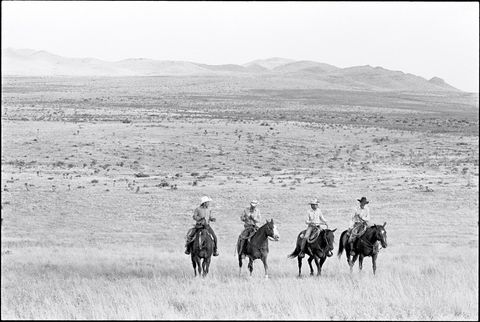 Four cowboys on horseback gathered on open grassland, low hills along the horizon behind them.